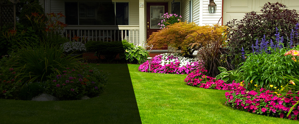 Bethesda Landscapers